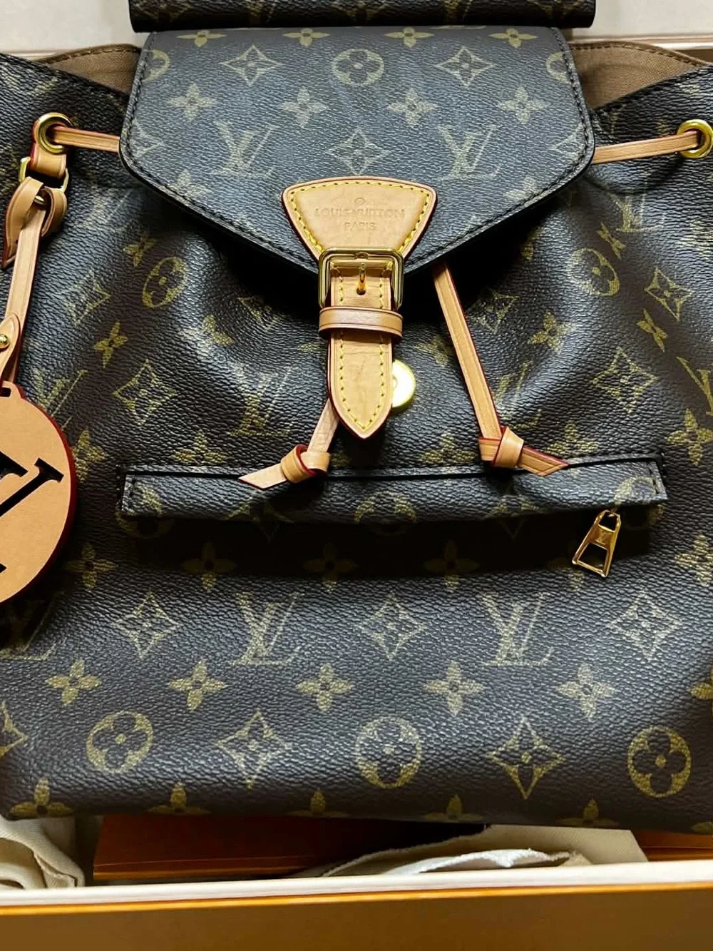 Louis Vuitton Monogram Canvas Backpack in Brown and Vachetta